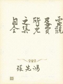 目之所及电视剧全集免费观看完整版