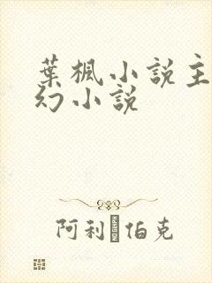 叶枫小说主角玄幻小说