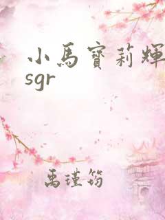 小马宝莉辉月六sgr