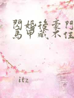 闪婚后豪门老公马甲藏不住了完整版