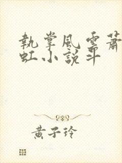 执掌风云萧峥陈虹小说斗