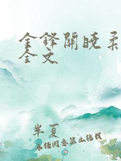 金锋关晓柔小说全文