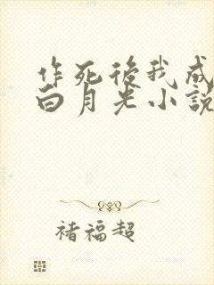 作死后我成为了白月光小说全文免费阅读