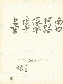 名侦探柯南之迷宫十字路口