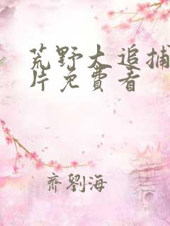 荒野大追捕纪录片免费看