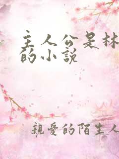 主人公是林小雅的小说