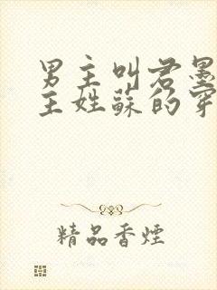 男主叫君墨寒女主姓苏的穿越小说