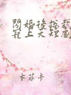 闪婚后总裁把我宠上天短剧免费观看