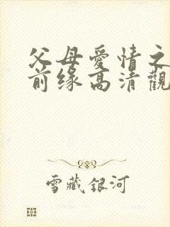 父母爱情之再续前缘高清观看