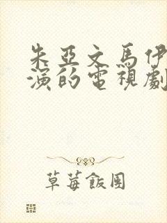 朱亚文马伊琍主演的电视剧是什么