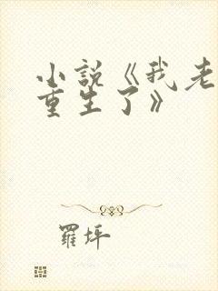 小说《我老婆也重生了》