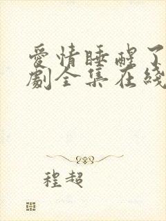 爱情睡醒了电视剧全集在线观看