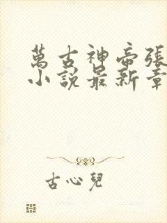 万古神帝张若尘小说最新章下载