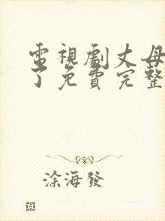 电视剧丈母娘来了免费完整版在线