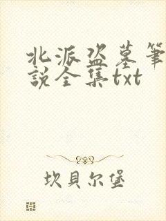 北派盗墓笔记小说全集txt