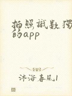 拍照识数独答案的app