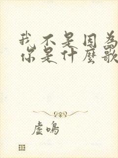 我不是因为爱着你是什么歌