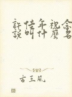 许佳年祝念的小说叫什么名字