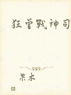 狂曾战神司空靖