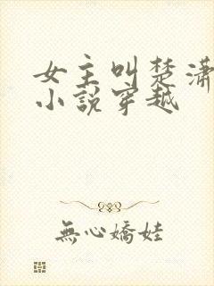 女主叫楚潇潇的小说穿越