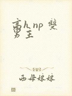 高h np 双男主