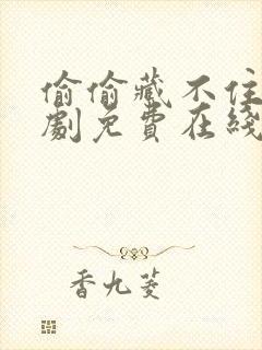 偷偷藏不住电视剧免费在线看