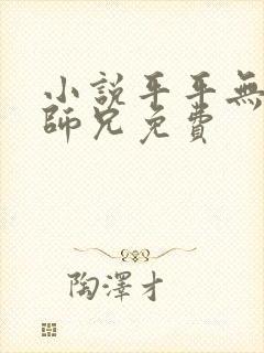 小说平平无奇大师兄免费