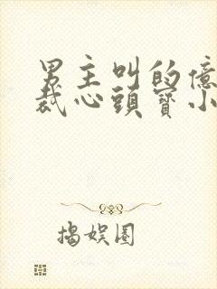 男主叫的亿万总裁心头宝小说