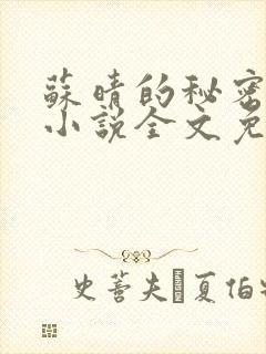 苏晴的秘密言情小说全文免费阅读