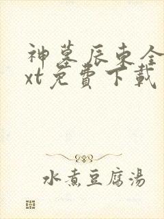 神墓辰东全本txt免费下载