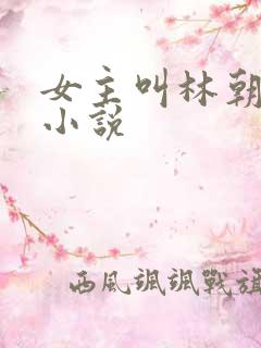 女主叫林朝夕的小说