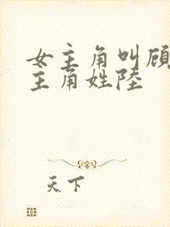 女主角叫顾念男主角姓陆