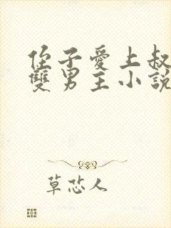 侄子爱上叔叔的双男主小说免费阅读