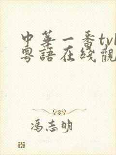 中华一番tvb粤语在线观看免费