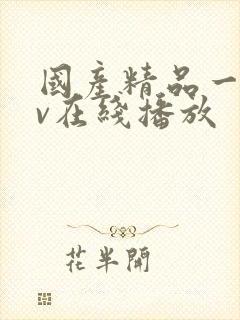 国产精品一级av在线播放