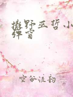 撒野巫哲小说无弹窗