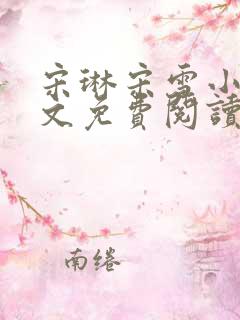 宋琳宋雪小说全文免费阅读