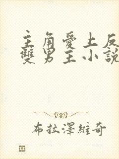 主角爱上反派的双男主小说