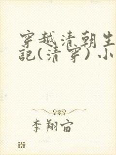 穿越清朝生活手记(清穿) 小说