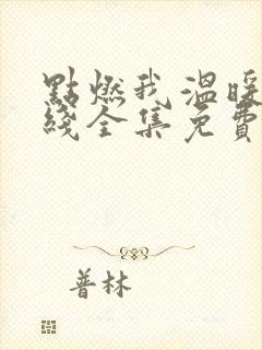 点燃我温暖你在线全集免费观看