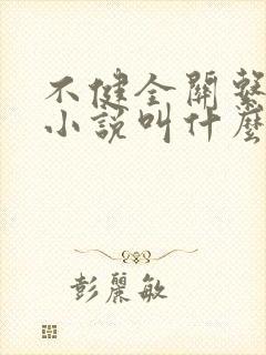 不健全关系原著小说叫什么名字