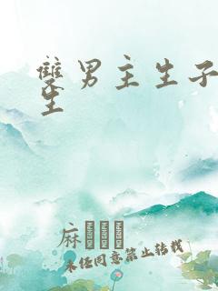 双男主生子文纯生