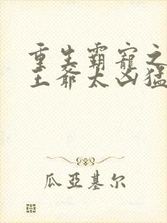 重生霸宠之摄政王爷太凶猛