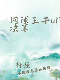 网球王子u17决赛