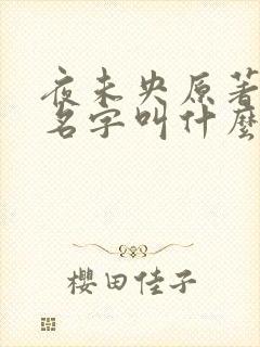 夜未央原著小说名字叫什么