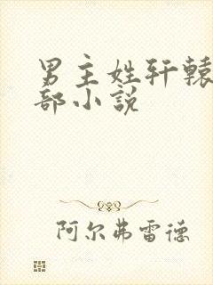 男主姓轩辕的全部小说