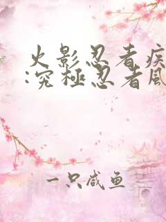 火影忍者疾风传:究极忍者风暴4