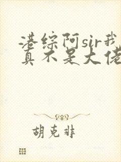 港综阿sir我真不是大佬呀