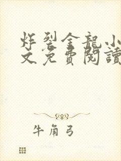 炸裂金龙小说全文免费阅读无弹窗