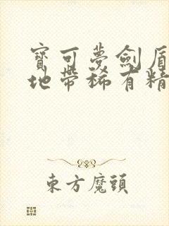 宝可梦剑盾旷野地带稀有精灵分布